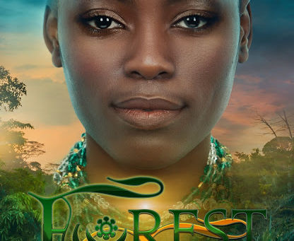He didn't want to get personal | Forest Girl @EmpiBaryeh #MidWeekTease #AARomance