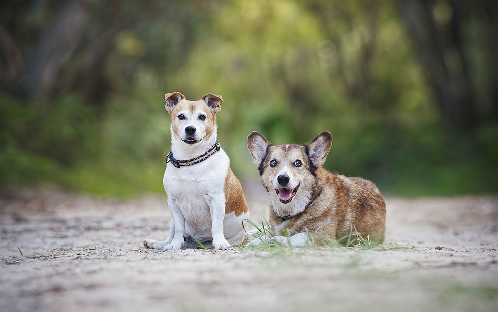 Russell and Darcy at Bribie Island