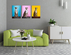 Three acrylic prints of dog portraits displayed in a sitting room