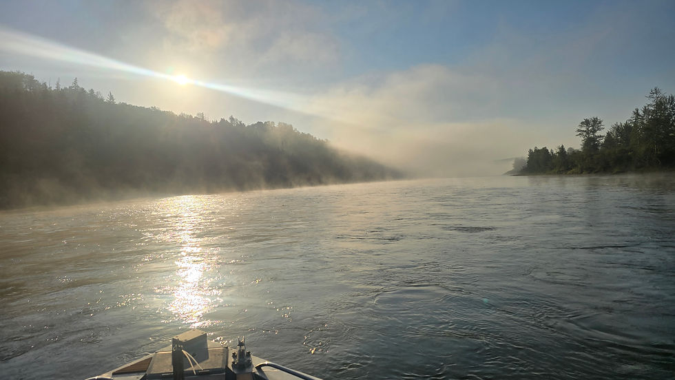 Foggy morning boating on the river
