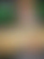 COLD LAKE LAKE TROUT 101