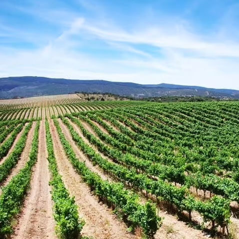 Alentejo (Portugal)