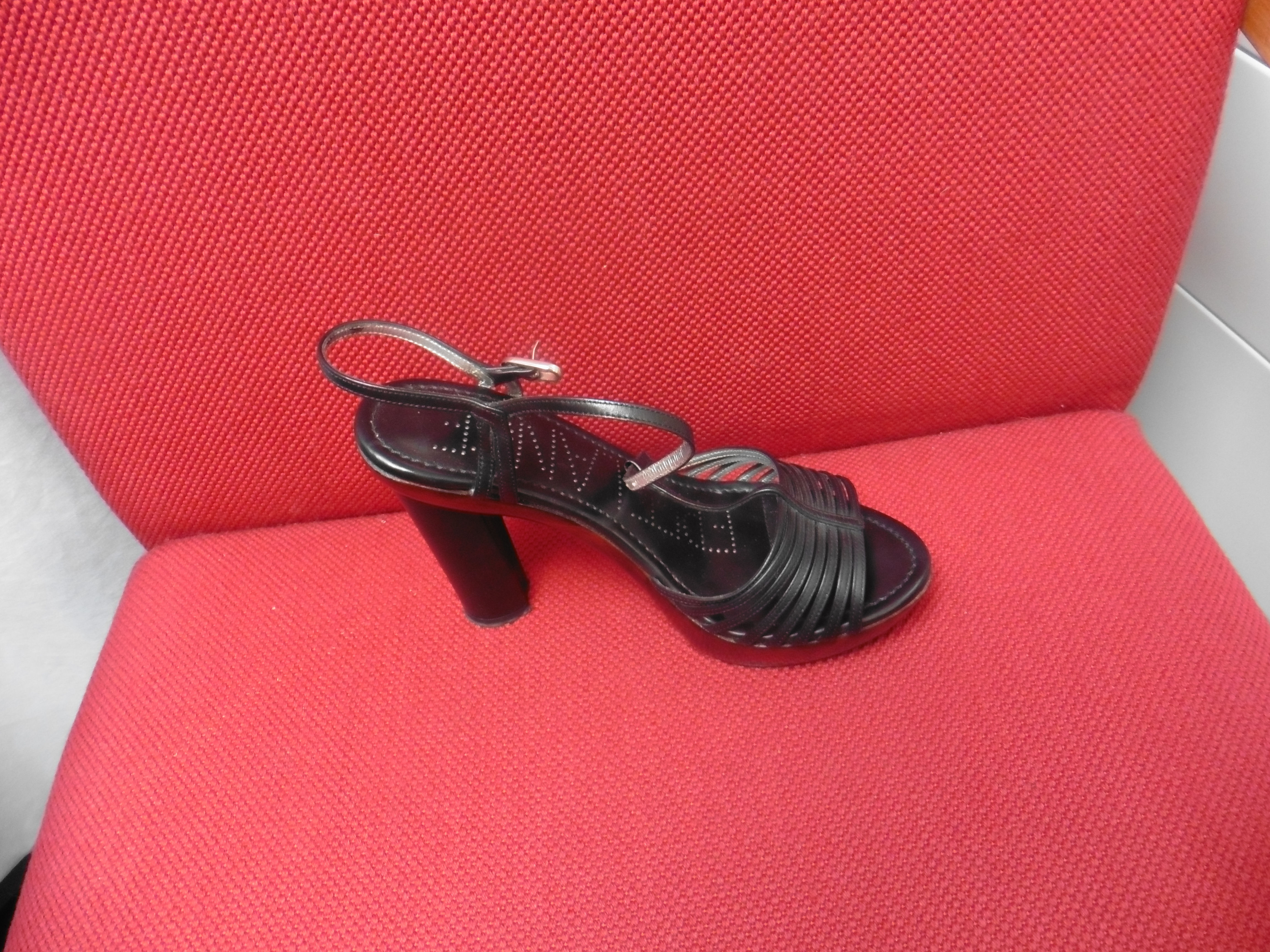 FreeLance dessous bois