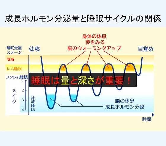 新宿区 神楽坂 小児成長ホルモン治療 新宿区 神楽坂 小児成長ホルモン治療