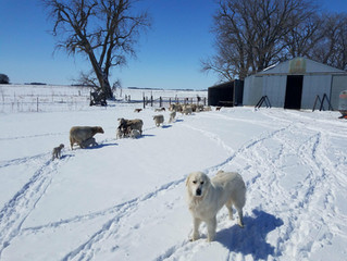 Spring on hold