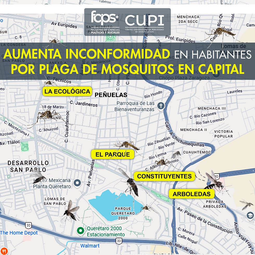 Aumenta inconformidad en habitantes por plaga de mosquitos en capital