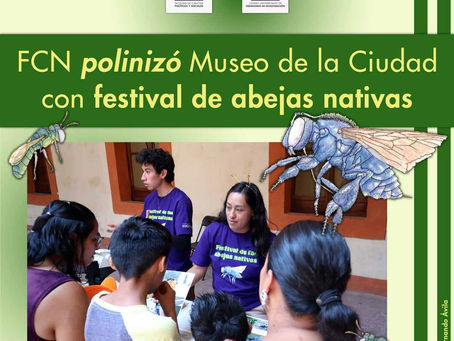 FCN polinizó Museo de la Ciudad, con festival de abejas nativas