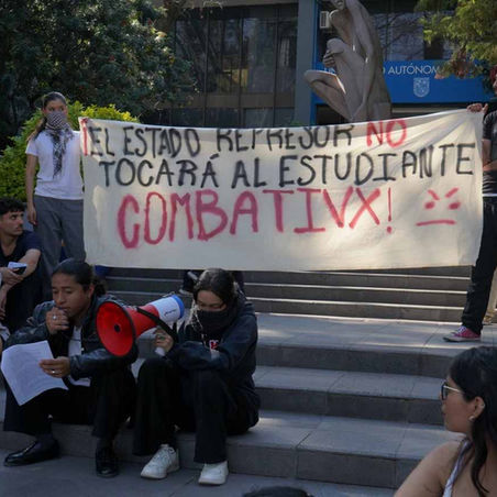 Estudiantes solicitan sesión extraordinaria de Consejo Universitario sobre protocolos de D.H.; Rectora anuncia que convocará "a la brevedad"