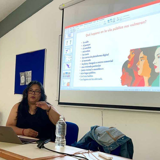 Investigadora alerta: 63.4% de mujeres padece acoso en calles y parques públicos