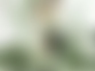 17 Secrets of Wedding Photographers