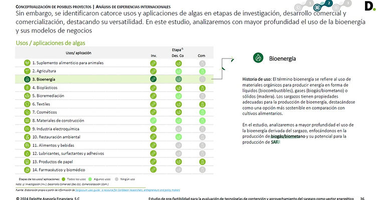 Estudio Deloitte5.jpg