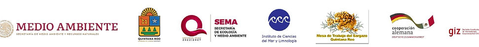 EIMAS entidades.jpg