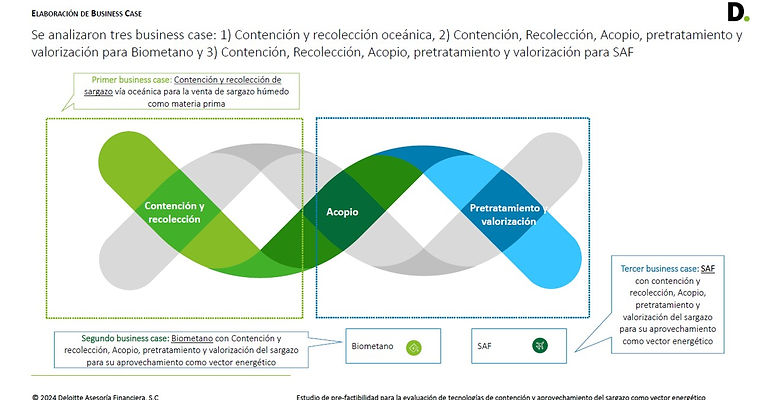 Estudio Deloitte6.jpg