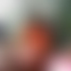 L'AJUNTAMENT DE PENÍSCOLA OBRI EL TERMINI PER ALS PRESSUPOSTOS PARTICIPATIUS PER ALS COMPTES
DEL