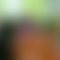 L'ÀREA D'URBANISME DE L'AJUNTAMENT DE PENÍSCOLA COMENÇA LA RONDA DE PRESENTACIONS DE LA 