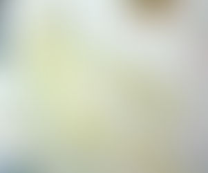 El tripartit oculta informació sobre el polígon Soterranyes.