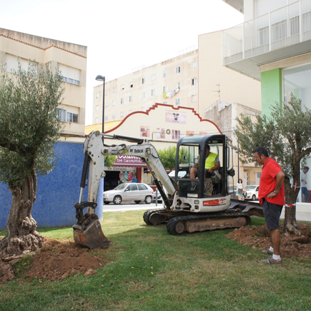 El jardí del carrer Soro millora el seu
aspecto.