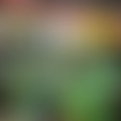 El Parc de Nadal 2017 tanca amb una assistència de més de 4.000 persones.