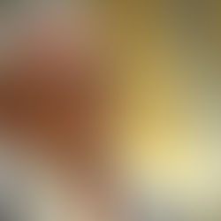 Aubà: ‘Quants accidents i víctimes més haurem de lamentar a l’N-340 per la negligència i la inoperàn