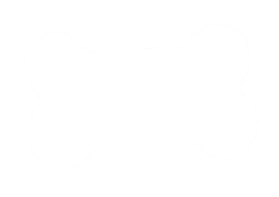 片型_edited_edited_edited.png