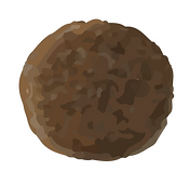 COATED KIBBLE