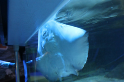 10446716_10203454444895227_3800571971992470212_n