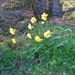 17239890_10207714457770461_2044341391743841236_o