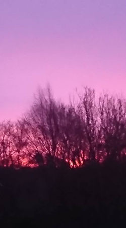 50255661_10212179396351135_5611843628033900544_n - Copy