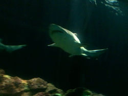 270228_2095040769508_2119492_n