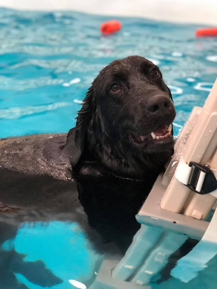 More About Swimming Peebles Play & Stay