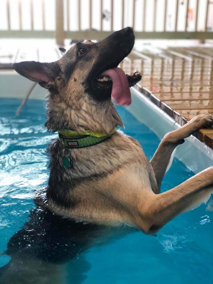 More About Swimming Peebles Play & Stay