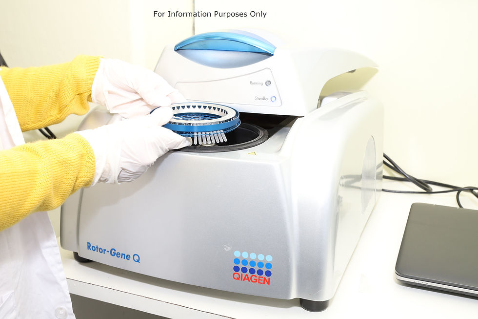 الصورة المصغرة: Q5 Plex QIAGEN Rotor Gene Q RT-PCR System