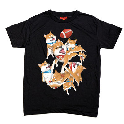 Thumbnail: 08 Shiba Catcher