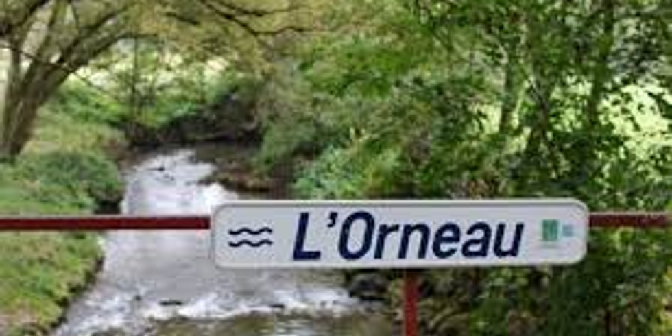 Trail de la vallée de l'Orneau 21Octobre 19km
