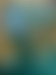 Чудові новини зі світу шкільного спорту!