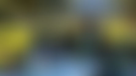 Hustle & Grow students greeting neighbors with at a farm event 