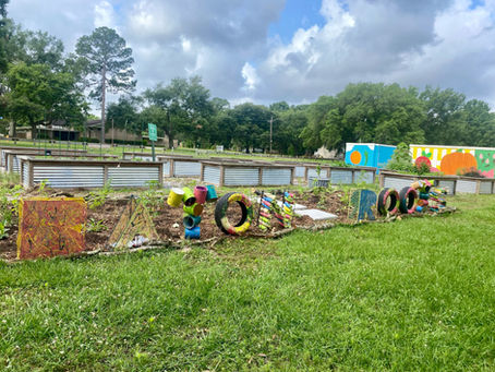 Buzzin' about the new pollinator garden at Baton Roots