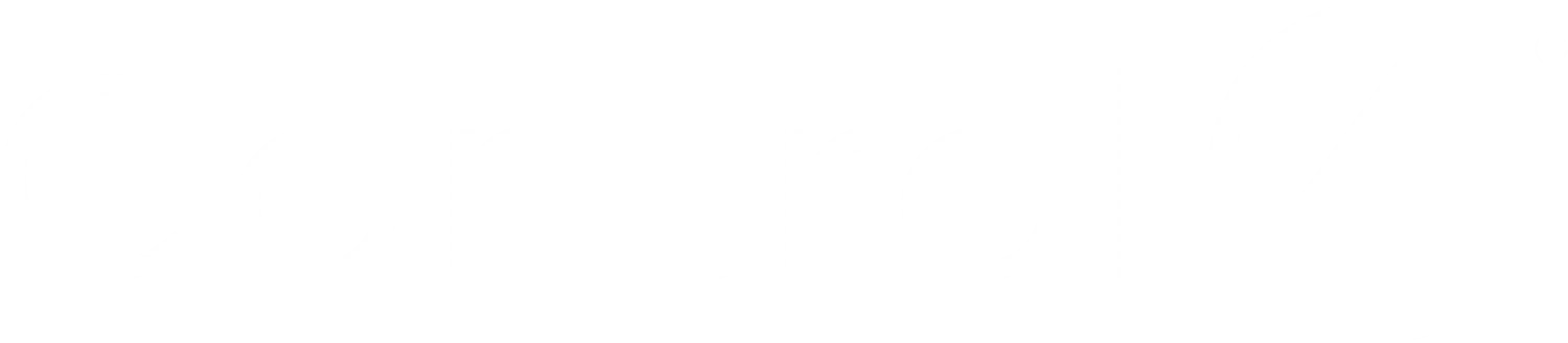 Wire It Control4 Icon
