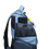 Thumbnail: Manta