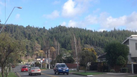 Silverstream Spur Decision Appealed