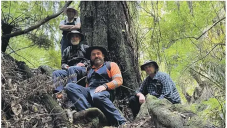 Upper Hutt Council's PC50 fast tracking 'schemozzle'