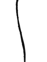 line.png