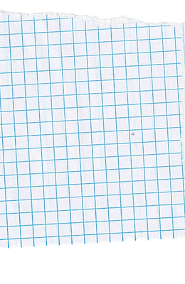 scrap of graph paper scanned in by Chicago based performance artist Jenn Freeman | Po'Chop