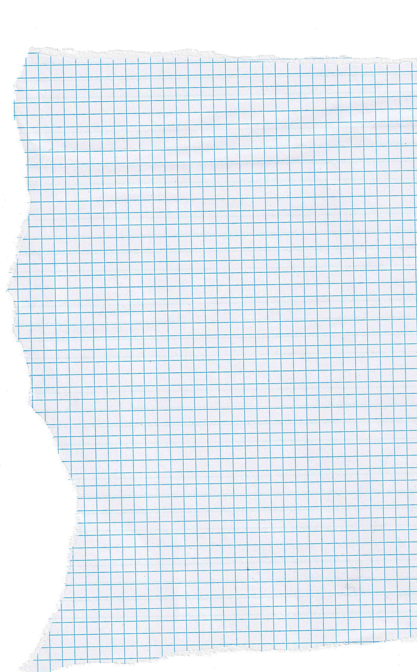 a large sheet of graph paper ripped for The Brown Pages | artist blog