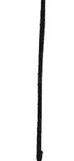 IMG_1104.png