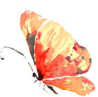Butta%20Dream%20(10)_edited.jpg