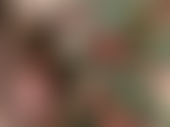 Metropawlitan Dog Training Inc. Dog Tricks - Meiko xmas ornament