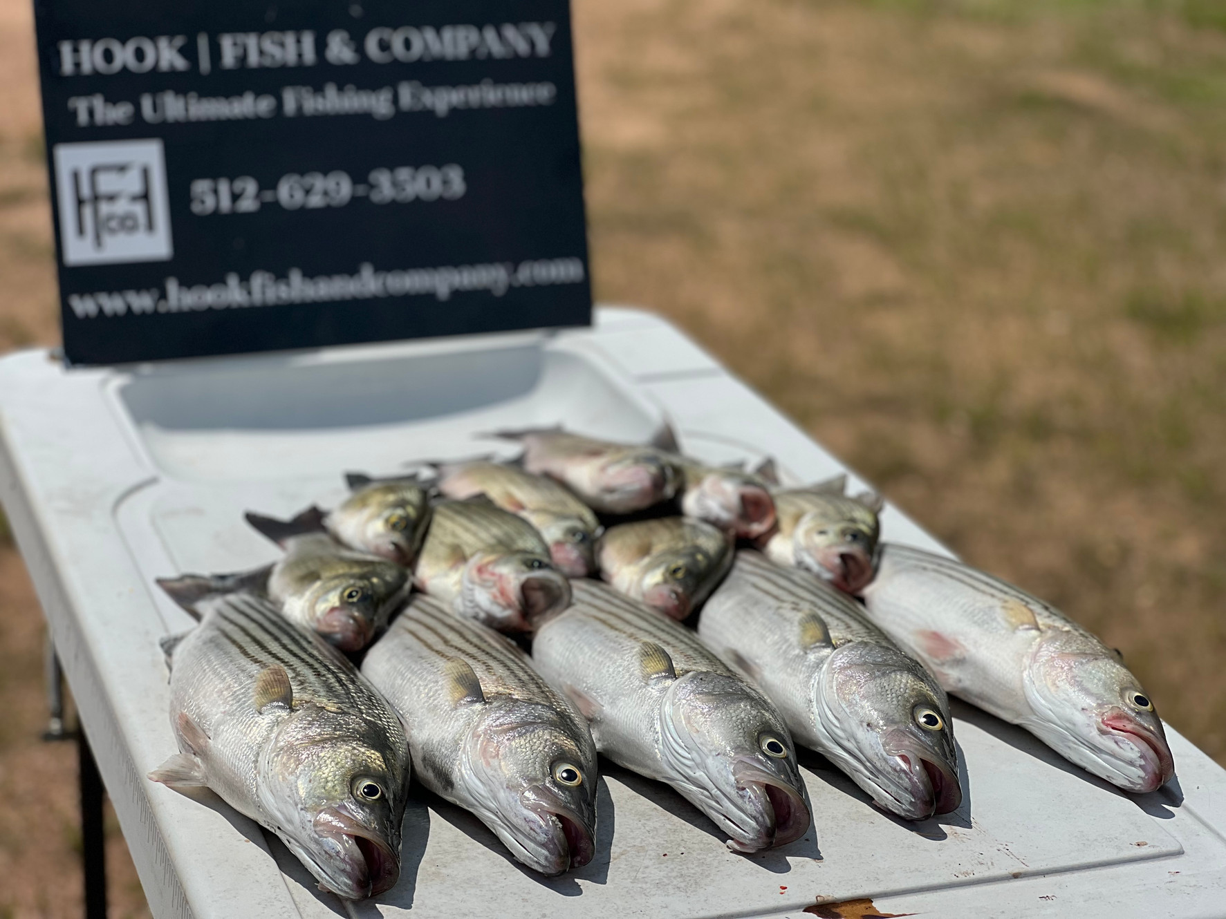 About | Hook Fish & CO. About | Hook Fish & CO.