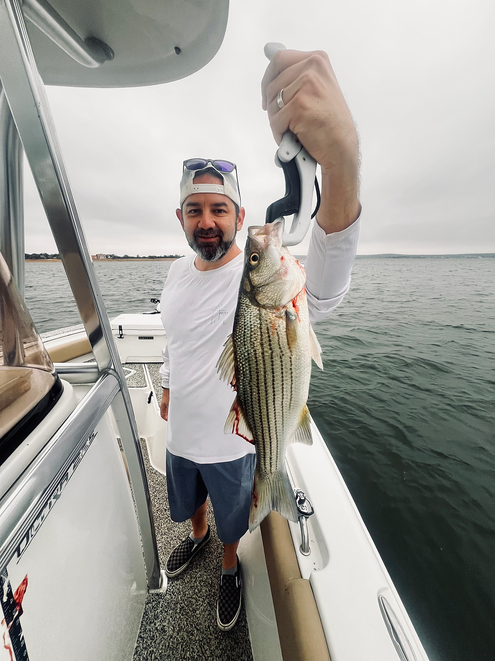 Winter Striper & Hybrid Fishing: Find the Bait, Find the Fish