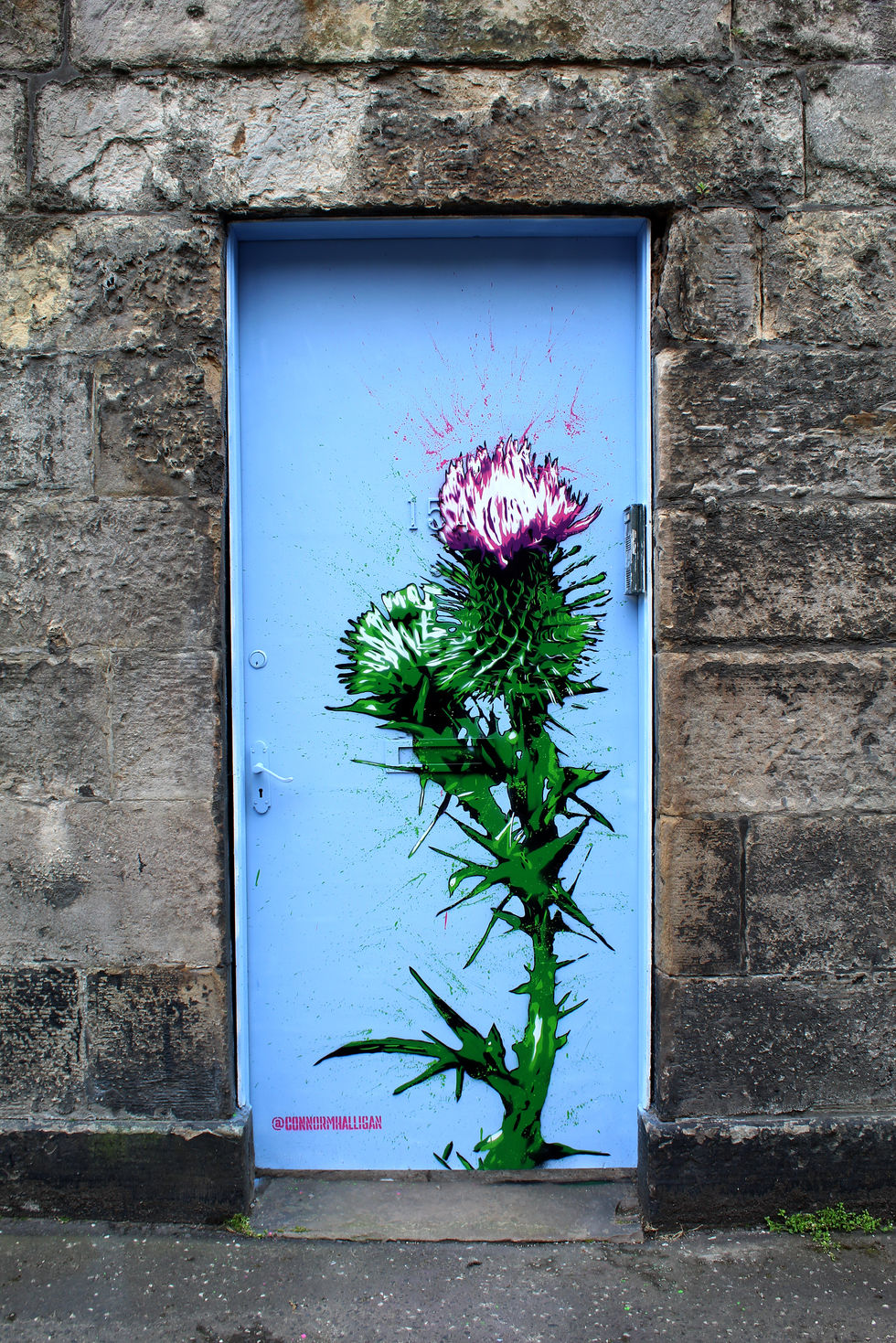 A Bloom at the Gate